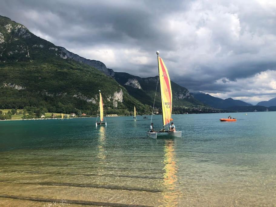 Appartement Proche Centre Ville Avec Parking Gratuit Annecy Exterior photo