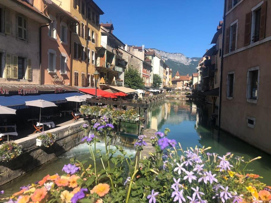Appartement Proche Centre Ville Avec Parking Gratuit Annecy Exterior photo