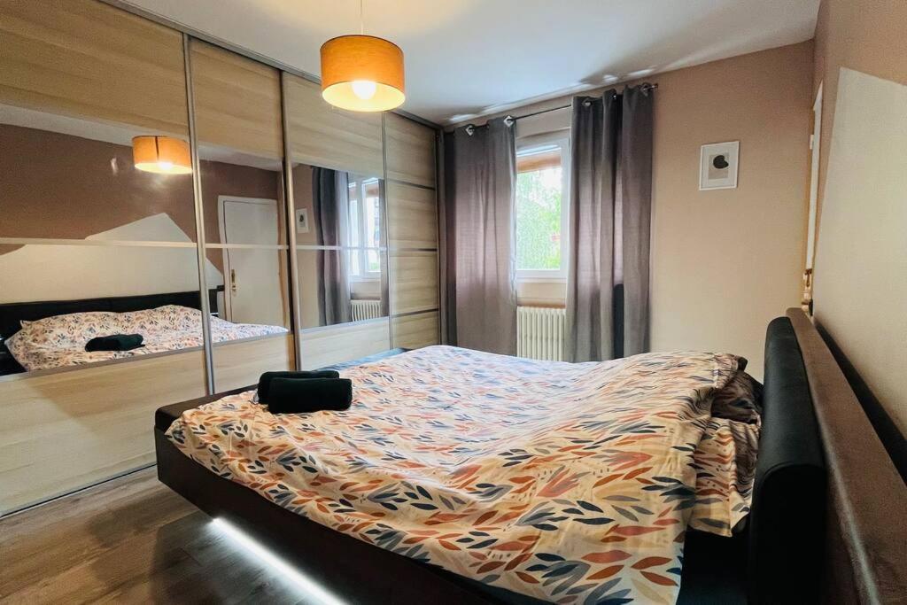 Appartement Proche Centre Ville Avec Parking Gratuit Annecy Exterior photo