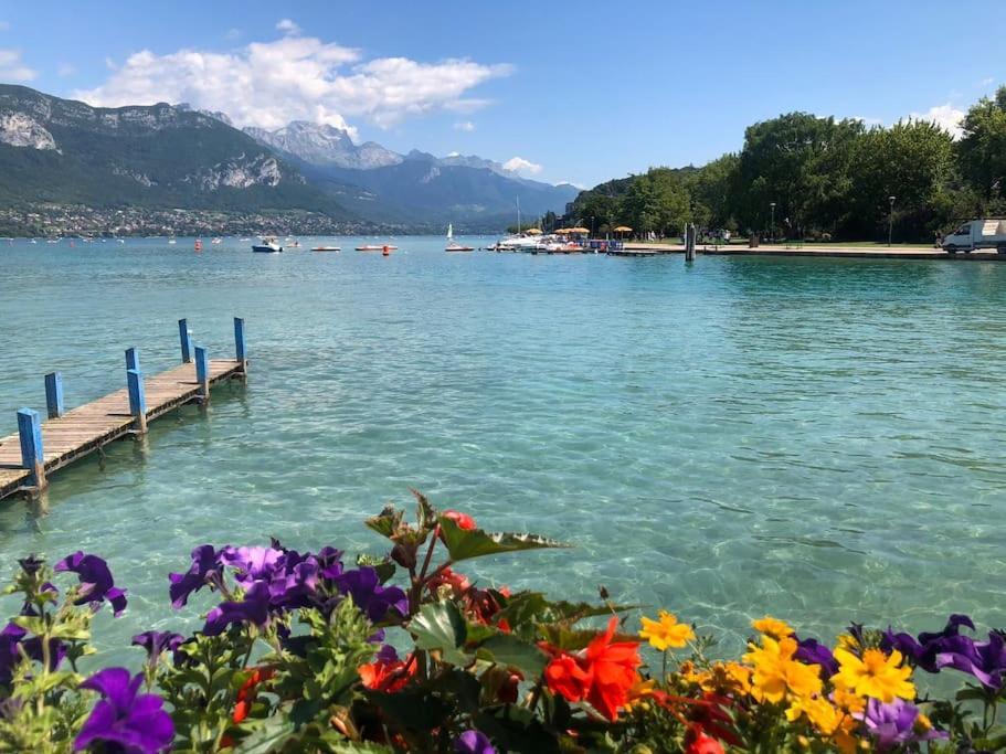 Appartement Proche Centre Ville Avec Parking Gratuit Annecy Exterior photo